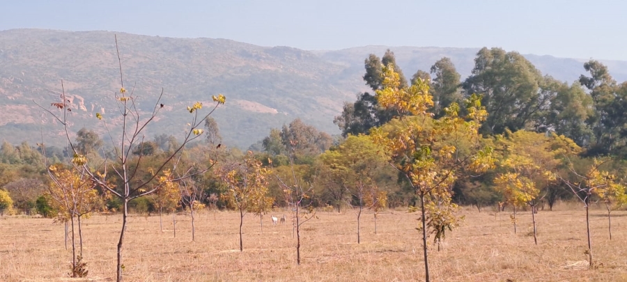 3 Bedroom Property for Sale in Modderfontein A H North West